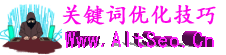 掌握SEO关键词优化的精髓